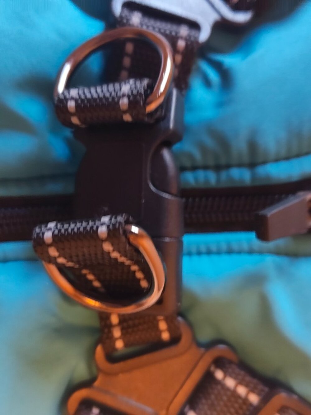 Small Dog Coat with Built-in Harness - Picture 3 of 7